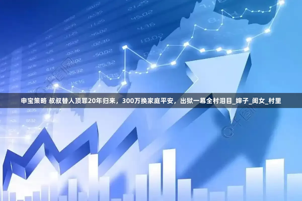 申宝策略 叔叔替人顶罪20年归来，300万换家庭平安，出狱一幕全村泪目_婶子_闺女_村里