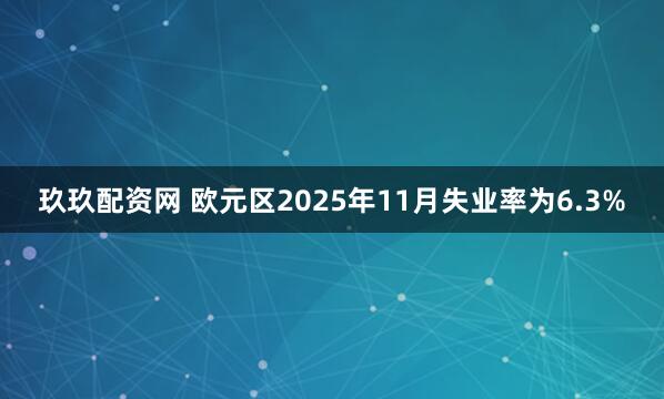 玖玖配资网 欧元区2025年11月失业率为6.3%